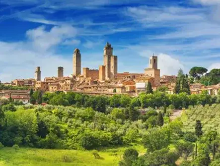 Group wine tours in Tuscany
