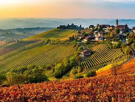 Private wine tours in Piedmont