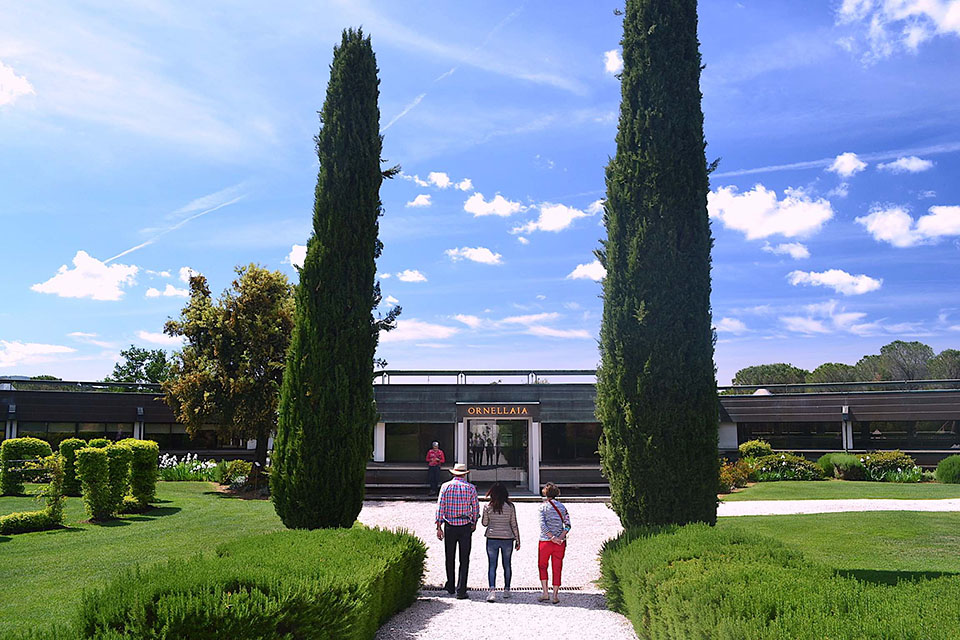 Bolgheri Wine Road Bolgheri Wine Road