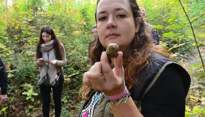 Truffle Hunting & Wine Tasting - shared Wine Tour