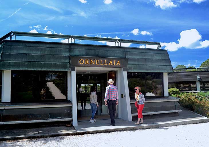 Bolgheri Wine Tour - private Wine Tour