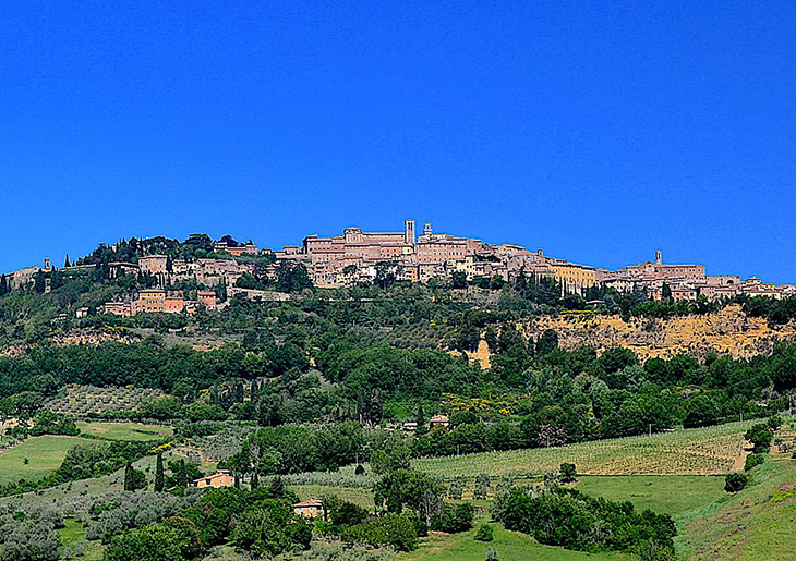 Wine Tour to Nobile di Montepulciano - private Wine Tour
