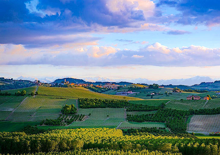 Barbaresco Wine Tour - private Wine Tour