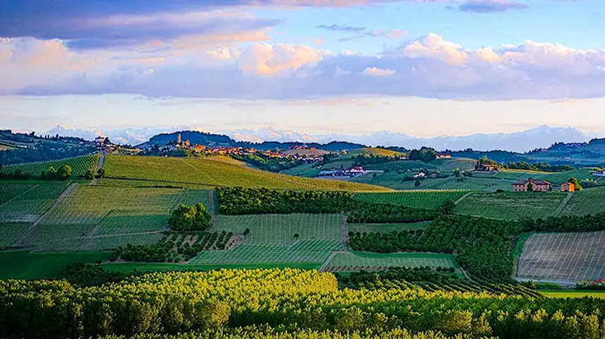 Panorama of the Barbaresco wine region