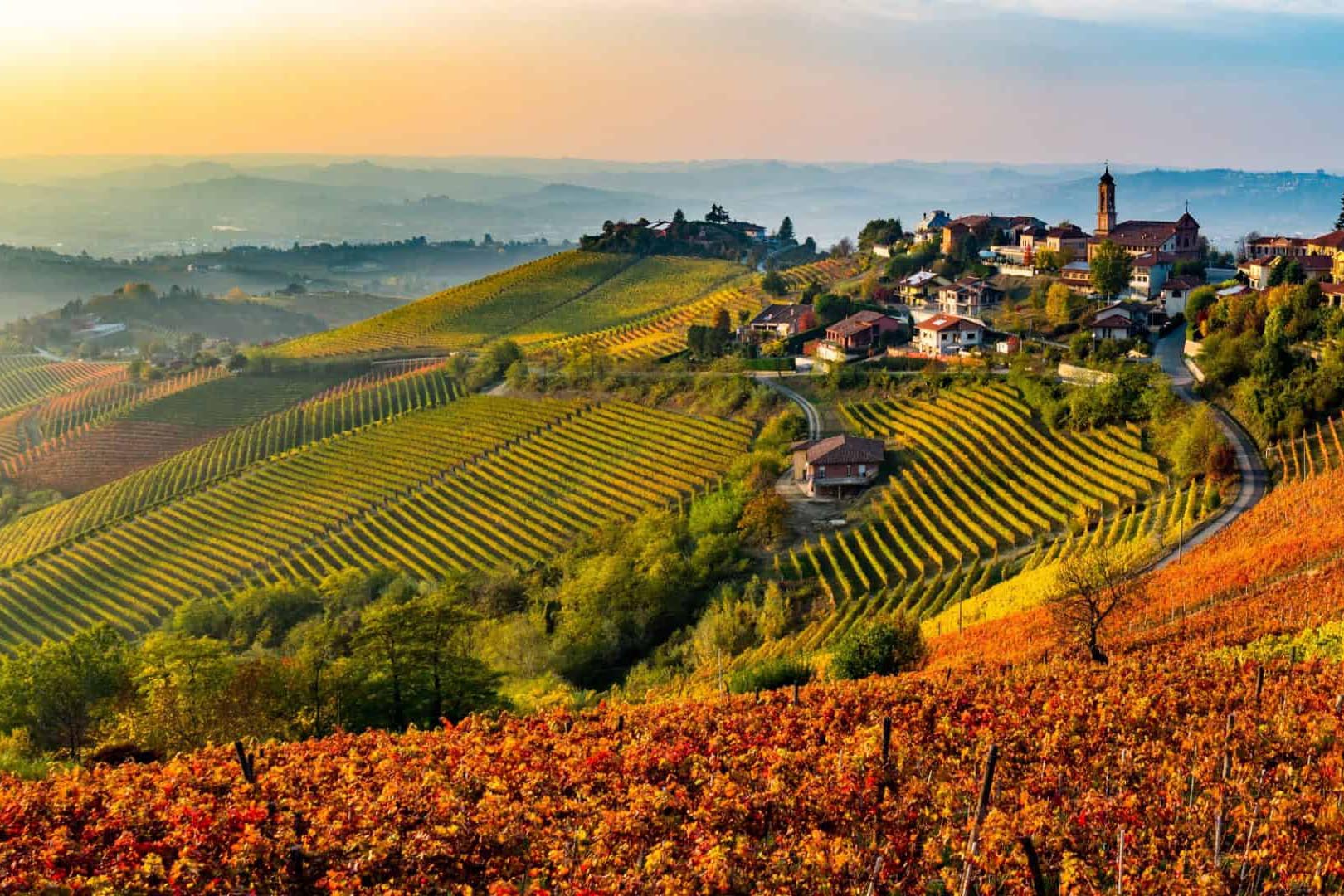 Barolo Wine Tour - private Wine Tour