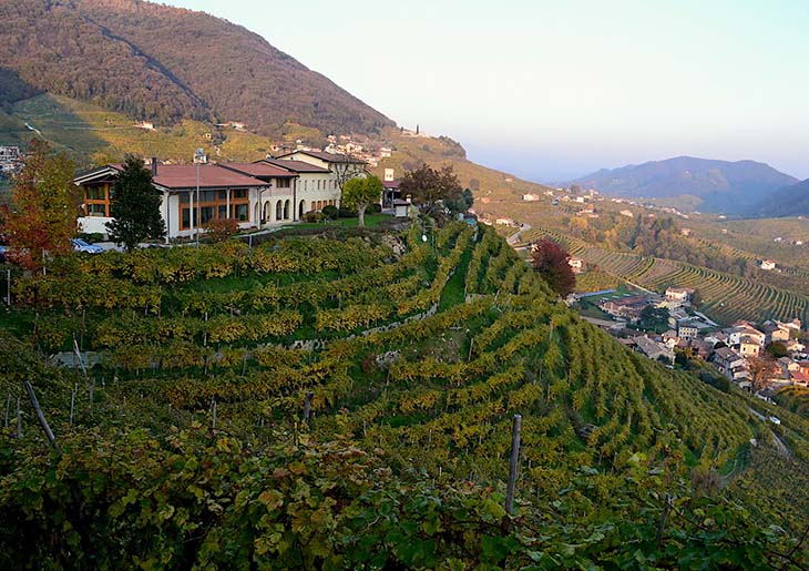 Prosecco Wine Tasting Tour - private Wine Tour