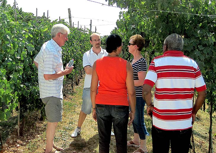 Valpolicella & Amarone Wine Tour - private Wine Tour