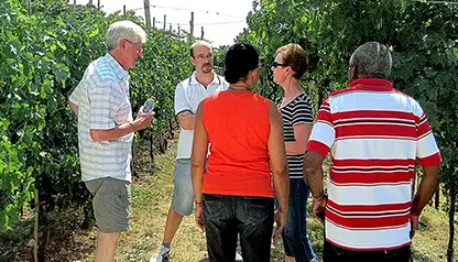 Valpolicella & Amarone Wine Tour - private Wine Tour