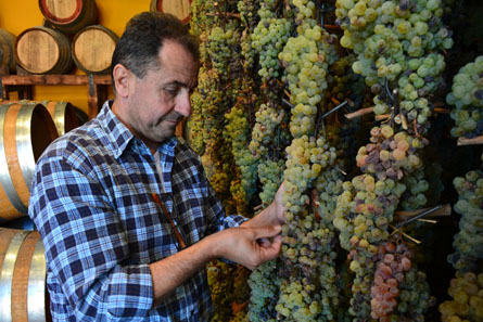 5-Days Private Wine Holiday in Tuscany      - private_package     Wine Tour