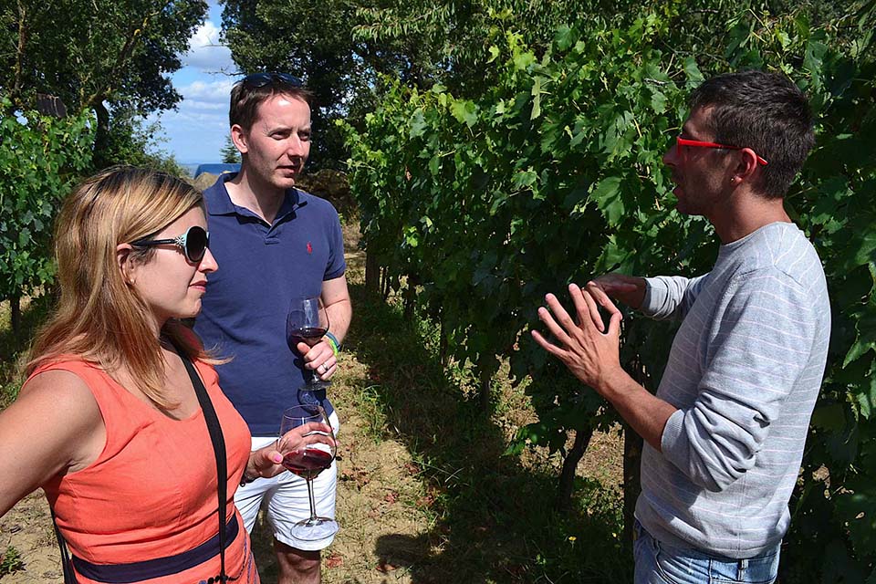 Package Tuscan wine tour Package Tuscan wine tour