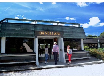 Bolgheri Wine Tour - private  Wine Tour