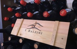 Winery I Balzini