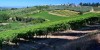 4 Days Tuscan Wine Tours 4 Days Tuscan Wine Tours