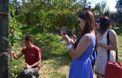 Stolle in the vineyard at il Cocco with Giacomo the wine maker