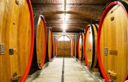 Traditional Oak Cask for Barolo Aging