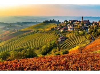 Barolo Wine Tour - private  Wine Tour