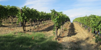 The Best 5 Star Hotels in Montalcino The Best 5 Star Hotels in Montalcino