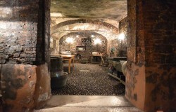 Old cellar to age the sparkling prosecco wine
