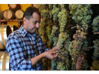 5-Days Private Wine Holiday in Tuscany  - private_package  Wine Tour