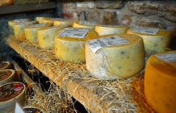 Chianti Wine and Cheese Tasting Tour 