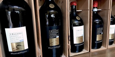 Balzini winery: excellence from 1980 Balzini winery: excellence from 1980